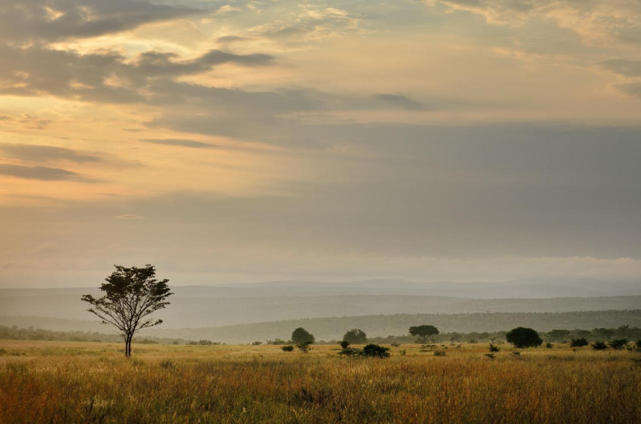 Makweti Safari Lodge Welgevonden Game Reserve Eksteriør billede