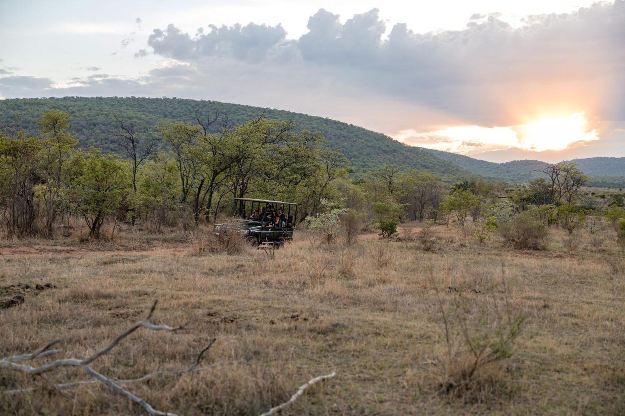 Makweti Safari Lodge Welgevonden Game Reserve Eksteriør billede